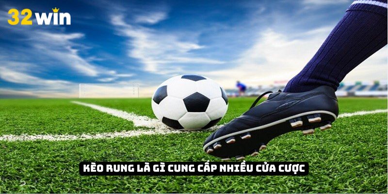 Kèo rung là gì cung cấp nhiều cửa cược khác nhau