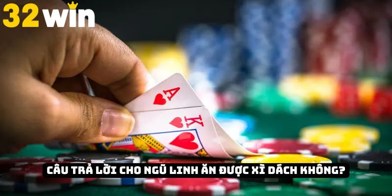 Câu trả lời cho Ngũ Linh ăn được Xì Dách không?